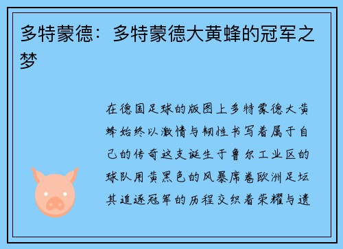 多特蒙德：多特蒙德大黄蜂的冠军之梦